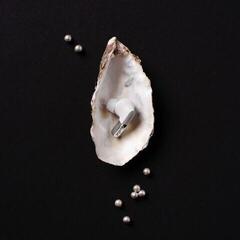 Écouteurs intra-auriculaires sans fil Sudio N3 Pro Chrome White Écouteurs intra-auriculaires sans fil - 3