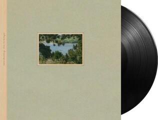 Vinyl Record Niklas Paschburg - L'Echo De Bretagne (LP) - 1