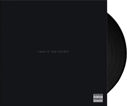 Disque vinyle Bring Me The Horizon - That's The Spirit (Reissue) (LP) - 2