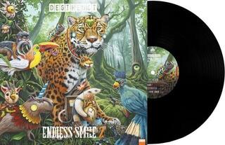 Vinyl Record Degiheugi - Endless Smile 2 (LP) - 1