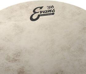 Opna za bubanj Evans TT08C7 Calftone Opna za bubanj - 2