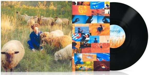 Vinilinė plokštelė Resavoir - Themes For Dreams (LP) - 2