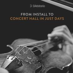 Violin Strings D'Addario KA310 4/4M Violin Strings - 3