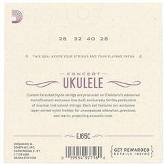 Saiten für Konzert-Ukulele D'Addario EJ65C Saiten für Konzert-Ukulele - 2