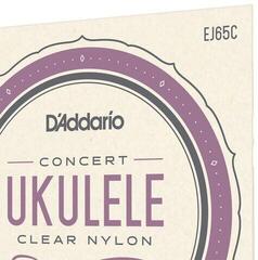 Saiten für Konzert-Ukulele D'Addario EJ65C Saiten für Konzert-Ukulele - 3