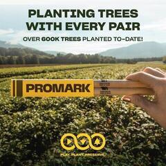 Bubnjarske palice Pro Mark TX747W-FG Classic Forward 747 FireGrain Bubnjarske palice - 4