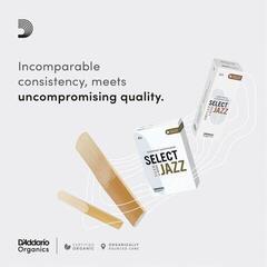Тръстикова пластинка за алт саксофон Rico Organic Select Jazz Unfiled 2 Soft 10-pack Тръстикова пластинка за алт саксофон - 2