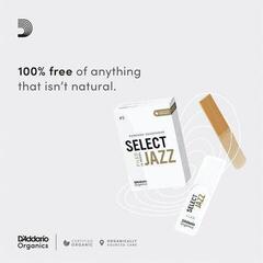 Тръстикова пластинка за алт саксофон Rico Organic Select Jazz Unfiled 2 Soft 10-pack Тръстикова пластинка за алт саксофон - 3