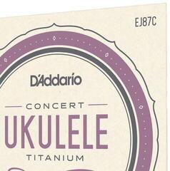 Žice za koncertni ukulele D'Addario EJ87C Žice za koncertni ukulele - 3