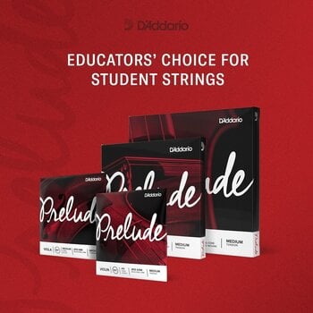 Violos stygos D'Addario J910 SM Violos stygos - 2