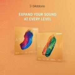 Viiulikeeled D'Addario A312 4/4M Viiulikeeled - 1