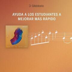 Viiulikeeled D'Addario A312 4/4M Viiulikeeled - 4