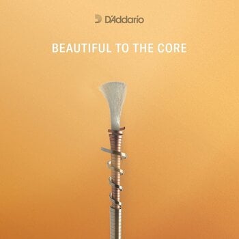 Viiulikeeled D'Addario A312 4/4M Viiulikeeled - 6