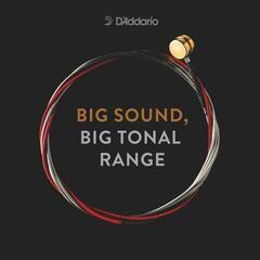 Saiten für Streichinstrumente D'Addario K410 MM Saiten für Streichinstrumente - 1