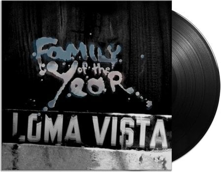 Disco de vinil Family Of The Year - Family of the Year (Deluxe Edition) (Coloured) (180 g) (LP) - 3