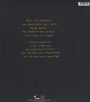 Вінілові платівки Sinéad O'Connor - I Do Not Want What I Haven't Got (Reissue) (180 g) (LP) - 2