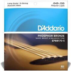 Acoustic Bass Strings D'Addario EPBB170-5 Acoustic Bass Strings - 1