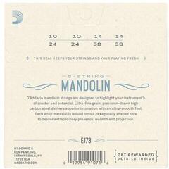 Žice za mandolinu D'Addario EJ73-3D Žice za mandolinu - 2