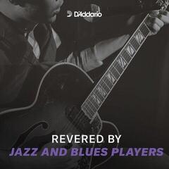 Žice za električnu gitaru D'Addario ECG23PL Žice za električnu gitaru - 2