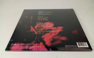 Vinylplade Foo Fighters - Wasting Light (Gatefold Sleeve) (2 LP) (Kun pakket ud) - 3