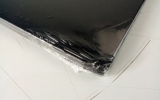 Vinylplade Foo Fighters - Wasting Light (Gatefold Sleeve) (2 LP) (Kun pakket ud) - 5