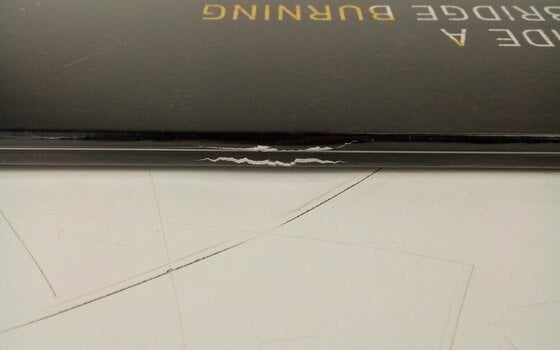 Vinylplade Foo Fighters - Wasting Light (Gatefold Sleeve) (2 LP) (Kun pakket ud) - 6