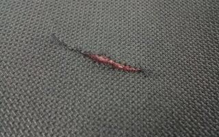 Klaviatūros krepšys Pianonova BKB 61 Klaviatūros krepšys (Pažeistas) - 3