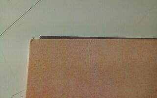 Vinyl Record Nazareth - Hair Of The Dog (Violet Coloured) (LP) (Just unboxed) - 2