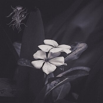 Vinüülplaat Saasol - Ephemeral (LP) - 2