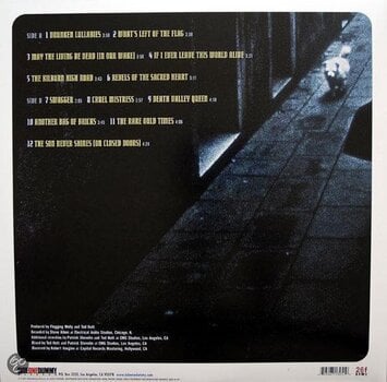 Vinyl Record Flogging Molly - Drunken Lullabies (LP) - 2