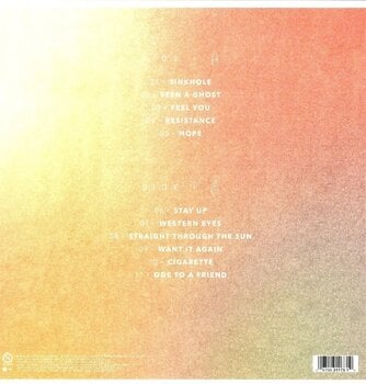 Disque vinyle Old Sea Brigade - Ode To A Friend (LP) - 2