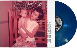 Vinylplate Nick Ward - House With The Blue Door (LP) - 1