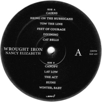 Disco de vinil Nancy Elizabeth - Wrought Iron (LP) - 2