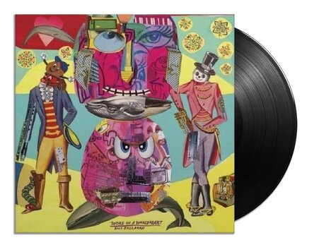 Вінілові платівки Bill Callahan - Woke On A Whaleheart (Reissue) (LP) - 2