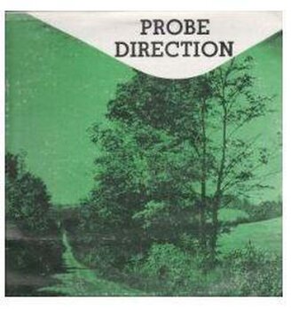 Disc de vinil No Direction - No Direction (LP) - 2