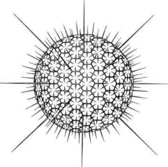 Vinyl Record AFCGT - AFCGT (LP + 7") - 1