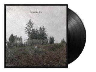 Disc de vinil Damien Jurado - Saint Bartlett (LP) - 1