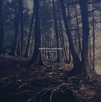 Disque vinyle American Heritage - Sedentary (LP) - 2