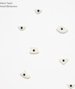 LP platňa Alexis Taylor - Await Barbarians (LP) - 2