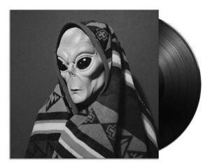 Disque vinyle Zomes - Near Unison (LP) - 1