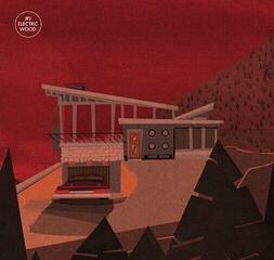 Вінілові платівки JFJ - Electric Wood (LP) - 1