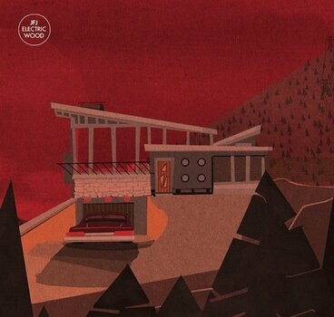 Вінілові платівки JFJ - Electric Wood (LP) - 2