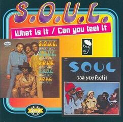 LP platňa S.O.U.L. - Can You Feel It (Sounds Of Unity And Love) (LP) - 1