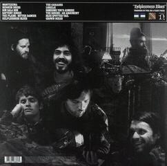 Płyta winylowa Fleet Foxes - Helplessness Blues (Reissue) (2 LP) - 1