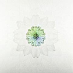 Δίσκος LP Tuomas Paukku - Description (LP) - 1