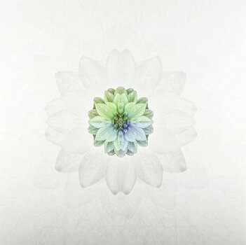 Δίσκος LP Tuomas Paukku - Description (LP) - 2