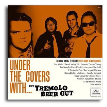Schallplatte The Tremolo Beer Gut - Under The Covers With... The Tremolo Beer Gut (LP) - 2