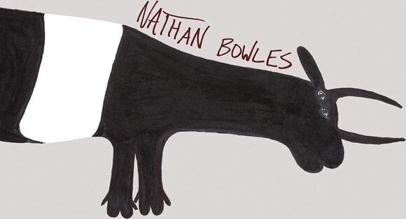 Δίσκος LP Nathan Bowles - Whole & Cloven (LP) - 2
