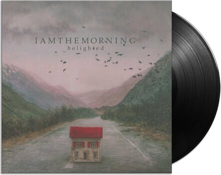 Płyta winylowa Iamthemorning - Belighted (180 g) (2 LP) - 2