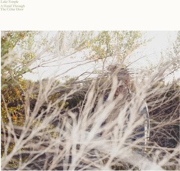 Schallplatte Luke Temple - A Hand Through The Cellar Door (LP) - 2